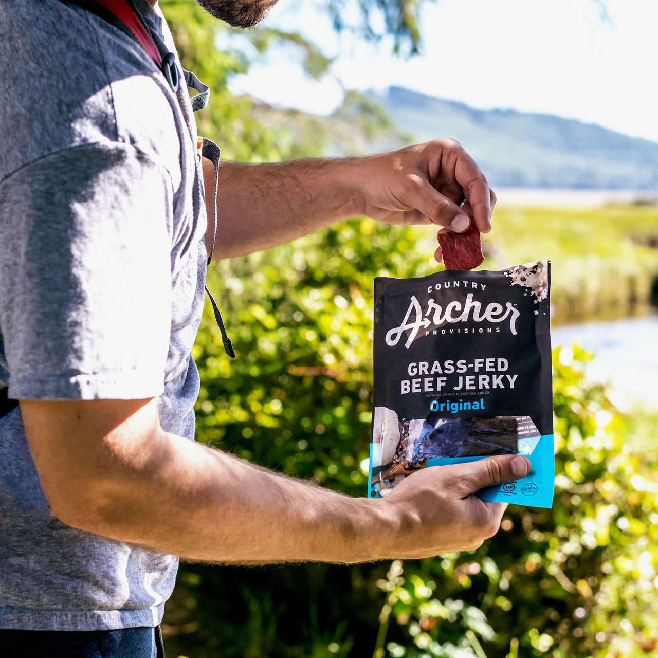 CTYARC JRKY ORIGNL BEEF ( 12 X 2.5 OZ   )-6