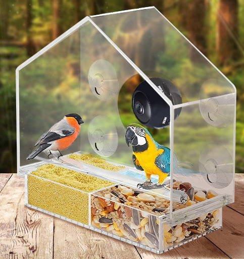 Bird's Eye View: Smart Bird Feeder With Live Camera Feed-2