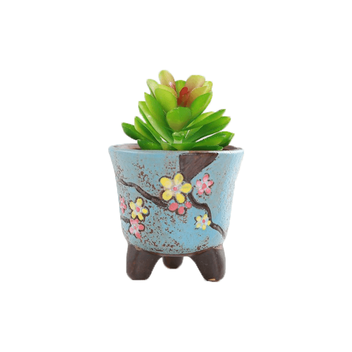 Blue Cup Shaped Ceramic Succulent Pot-0