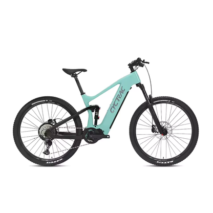 EM10 2025 - ELECTRIC ALLOY BIKE-3