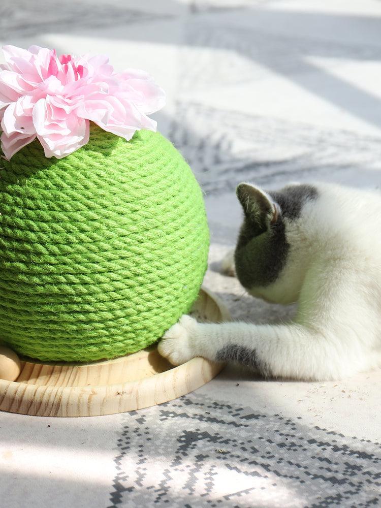 Cactus Paw-Purrfect Cat Grinding Toy-3