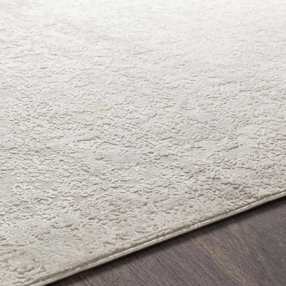 Canaseraga Area Rug - Clearance-4