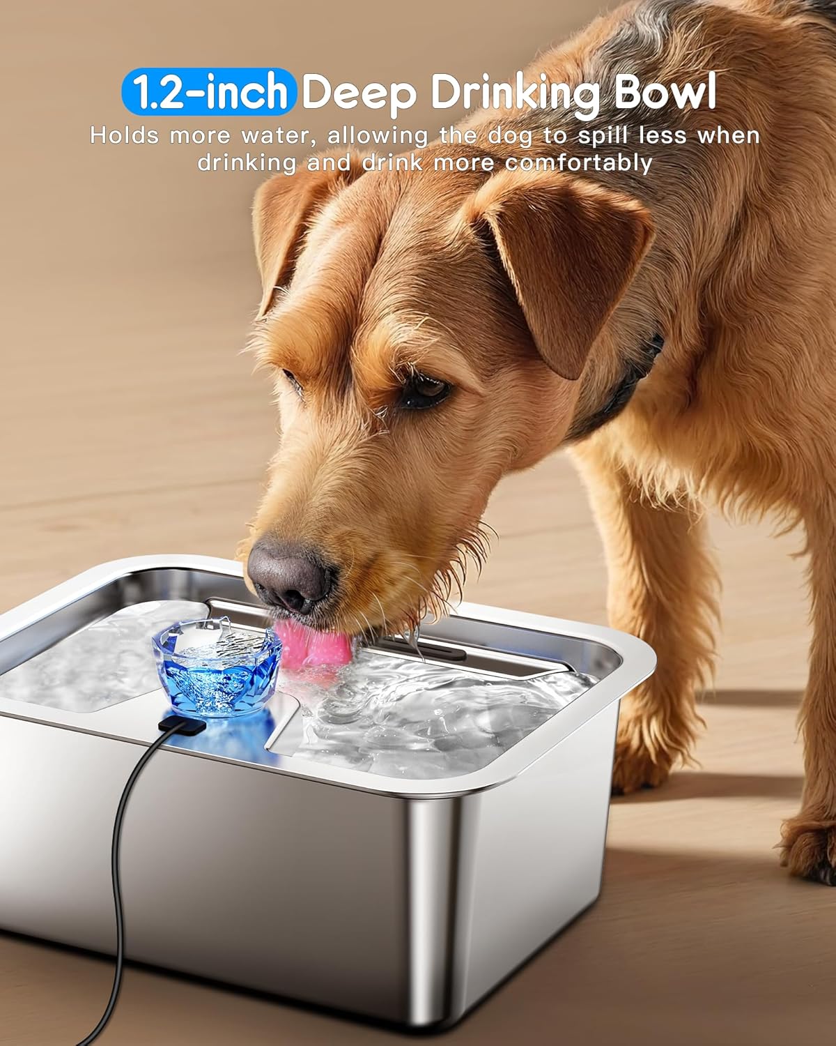 3 Gallon Extra Large Stainless Steel Dog Water Fountain-4