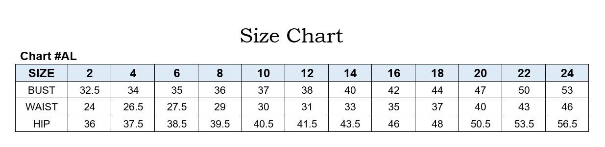 Multicolor Floral A-Line Gown-4