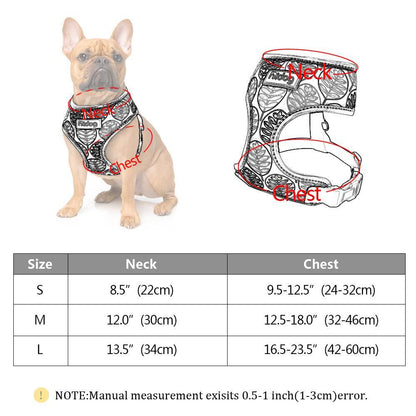 Comfortfit Nylon Dog And Cat Harness Leash Set-3