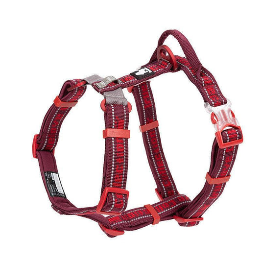 Convenient And Stylish Dog Breast Strap Leash Set-0