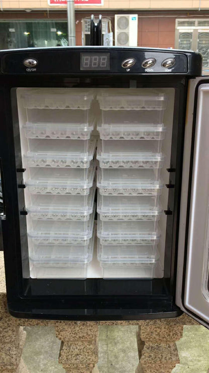 Crawling Creature Hatchery: The Ultimate Reptile Incubator-3