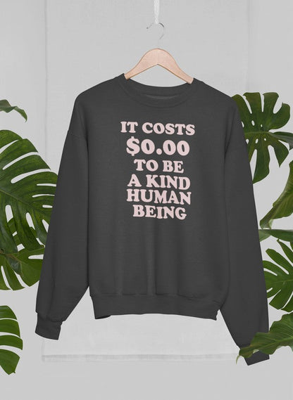 It Costs $0.00 To Be A Kind Human Being Sweat Shirt-3