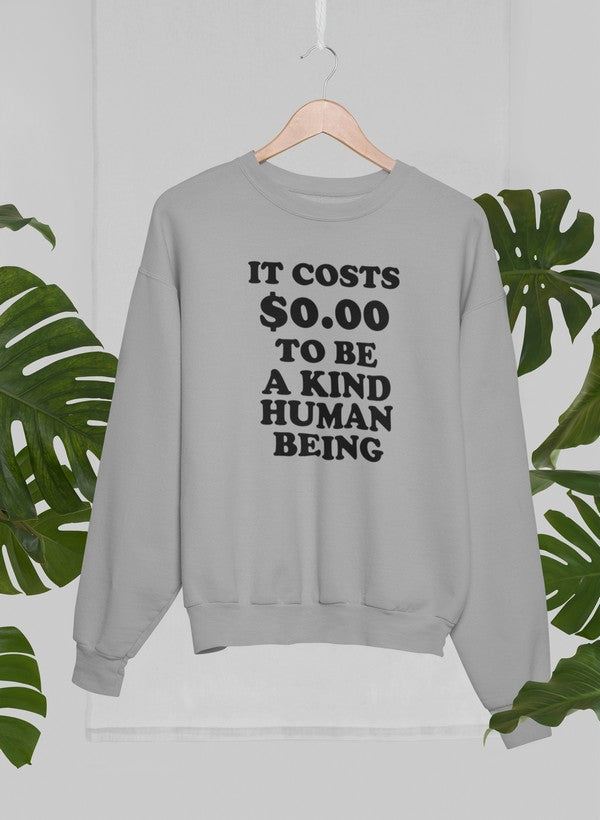 It Costs $0.00 To Be A Kind Human Being Sweat Shirt-1