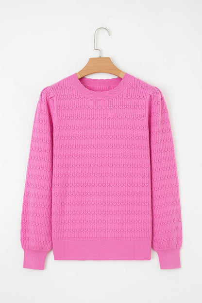 Kay Knit Ribbed Cuffs Crew Neck Sweater-0