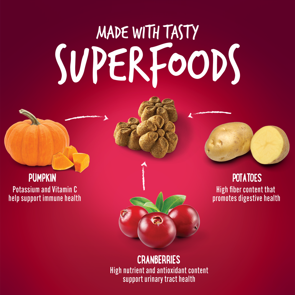 Fruitables Pumpkin & Cranberry Mix Dog Treats (8x7 Oz)-1