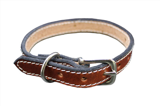 Dog Collar-0