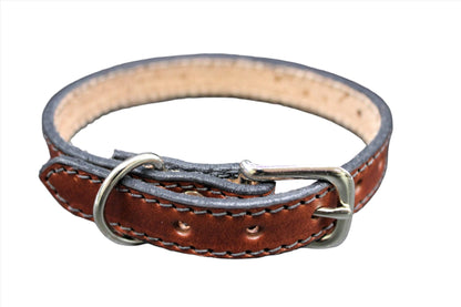 Dog Collar-1