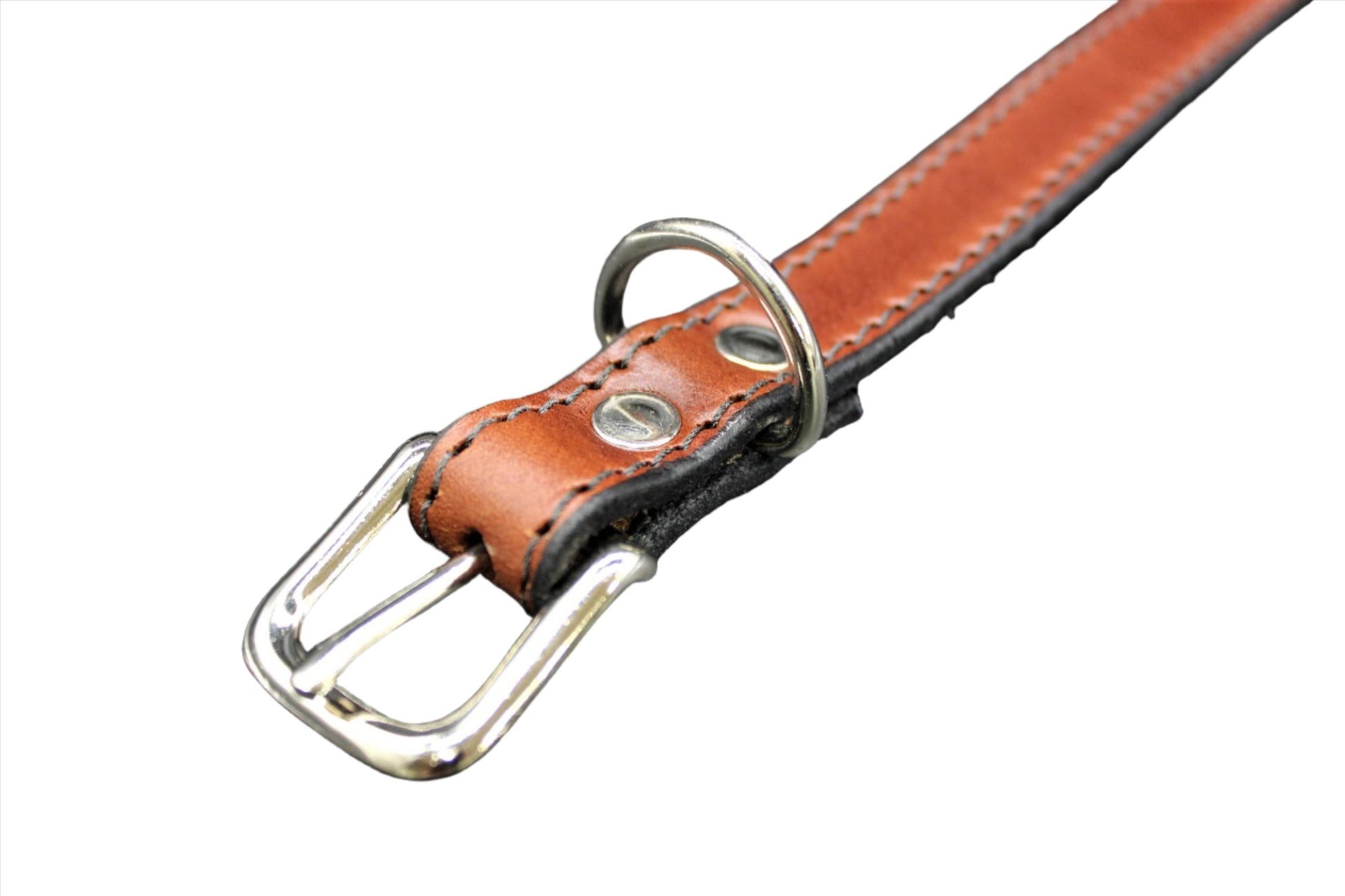 Dog Collar-2