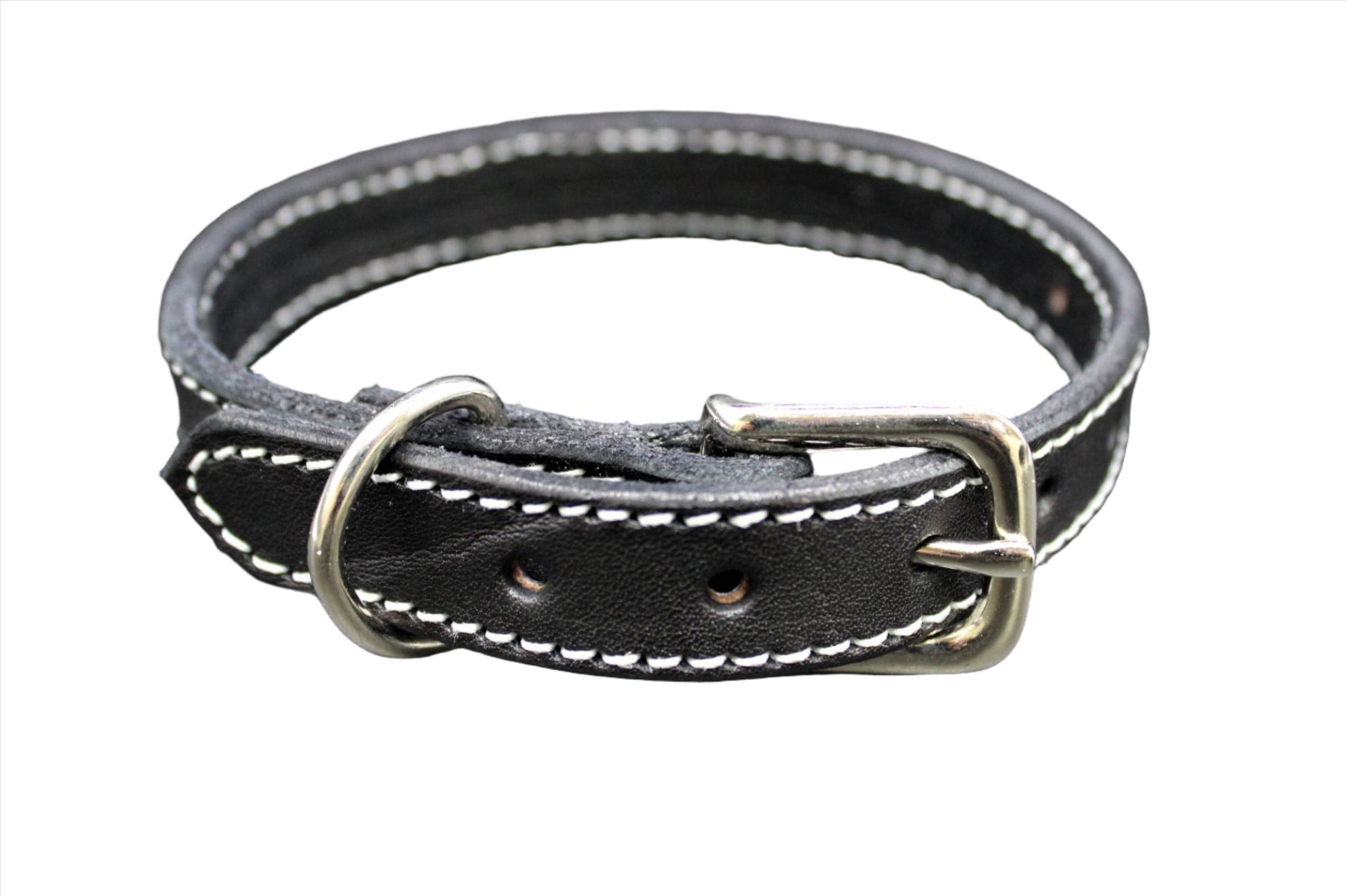 Dog Collar-3