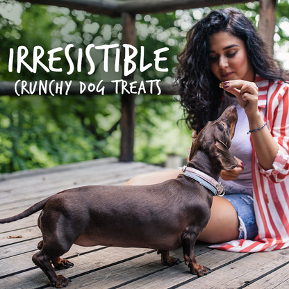 Fruitables Pumpkin & Cranberry Mix Dog Treats (8x7 Oz)-3