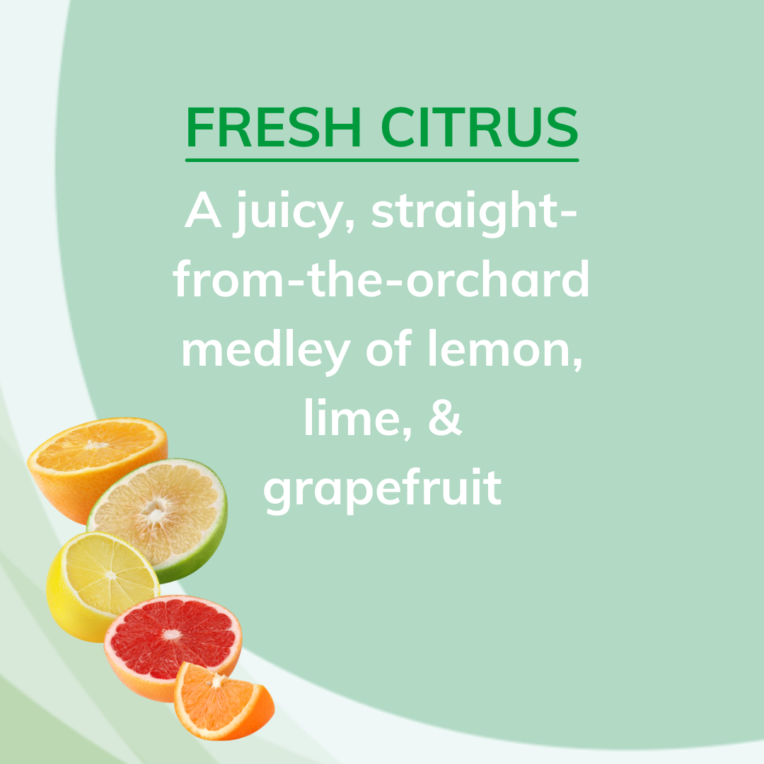 Citrus Magic Solid Odor Absorber (6x8Oz)-8