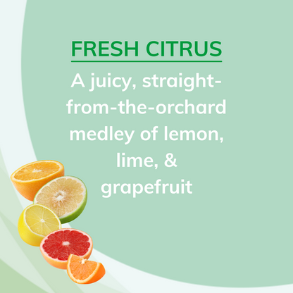 Citrus Magic Solid Odor Absorber (6x8Oz)-8