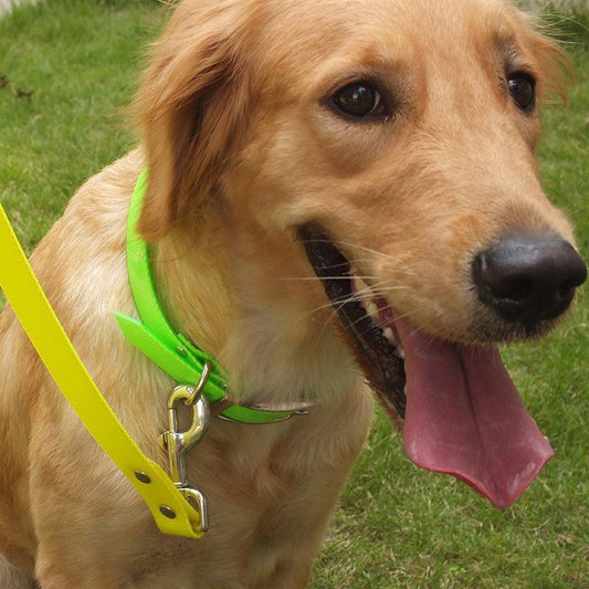 Dirty-Resistant Tpu Pet Collar With Festive Colors And Patterns-0