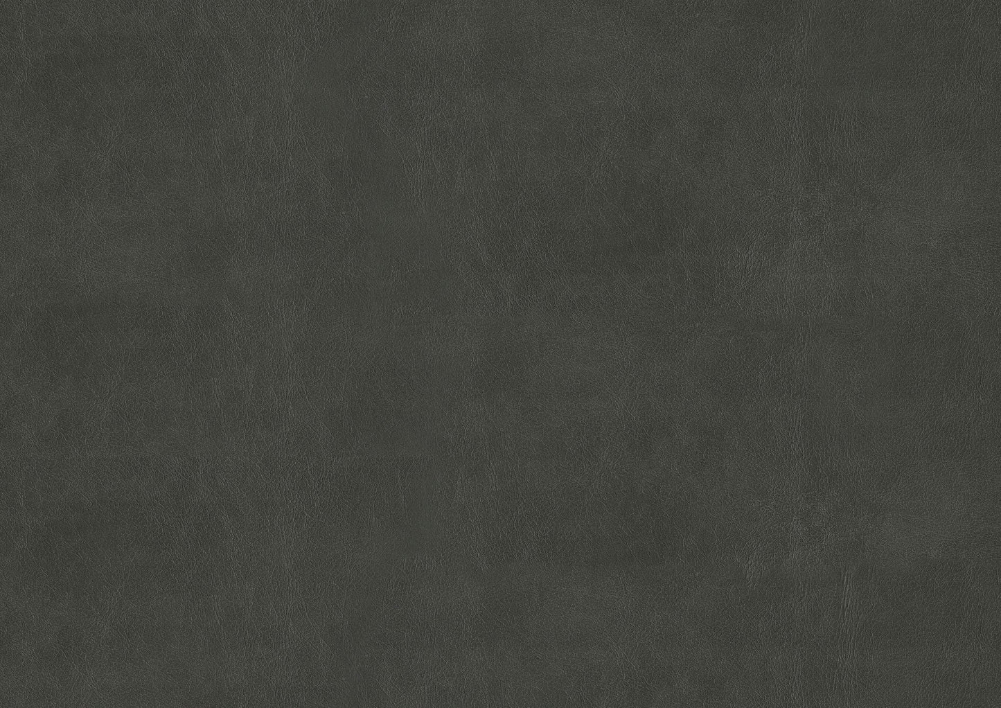 434428201