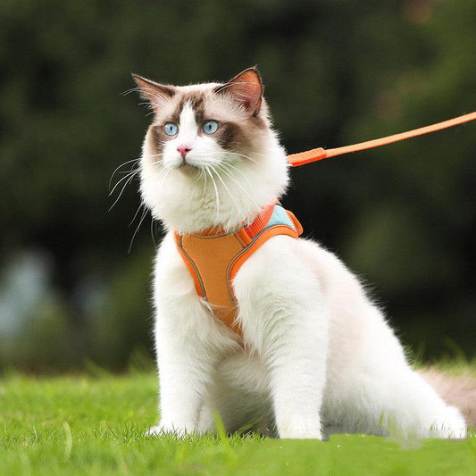 Escape-Proof Reflective Cat Harness And Leash Set-0