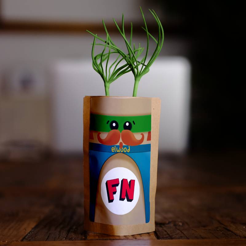 Elwood - ForestNation Guardian-0