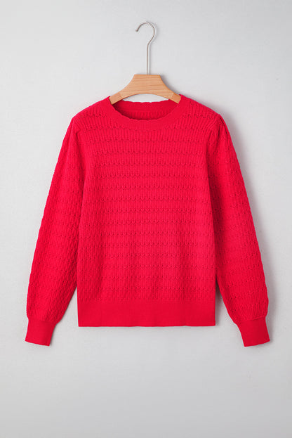Kay Knit Ribbed Cuffs Crew Neck Sweater-6