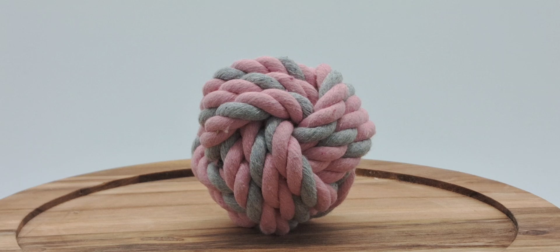 Fetch Ball-7