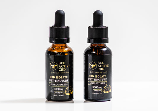 Bee Active CBD Unflavored Pet Tincture-0