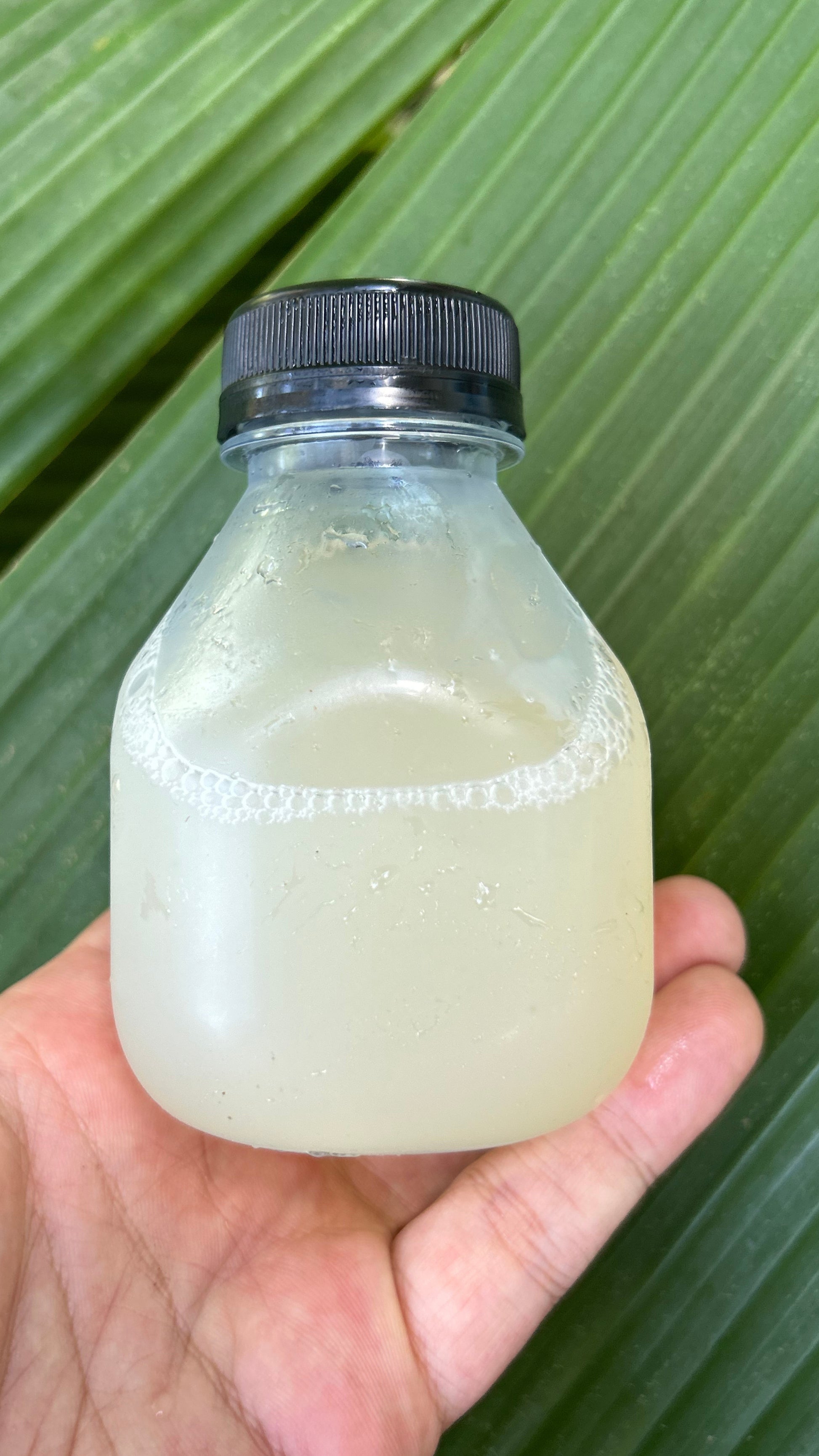 Hawaii Cacao Pulp Nectar by CRAFTRY-1