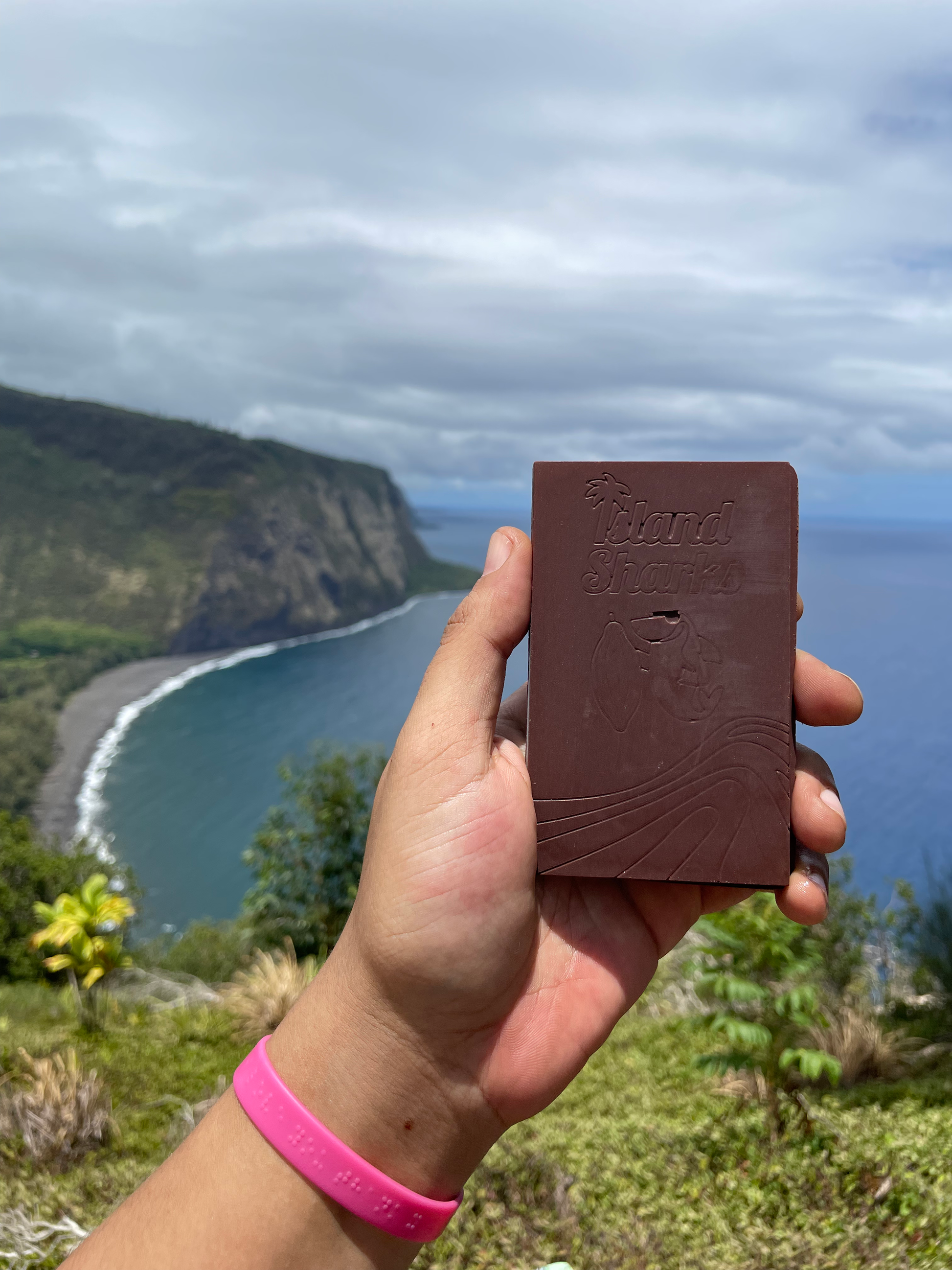 45% Oatmilk Chocolate w/ Waipi'o Vanilla-6