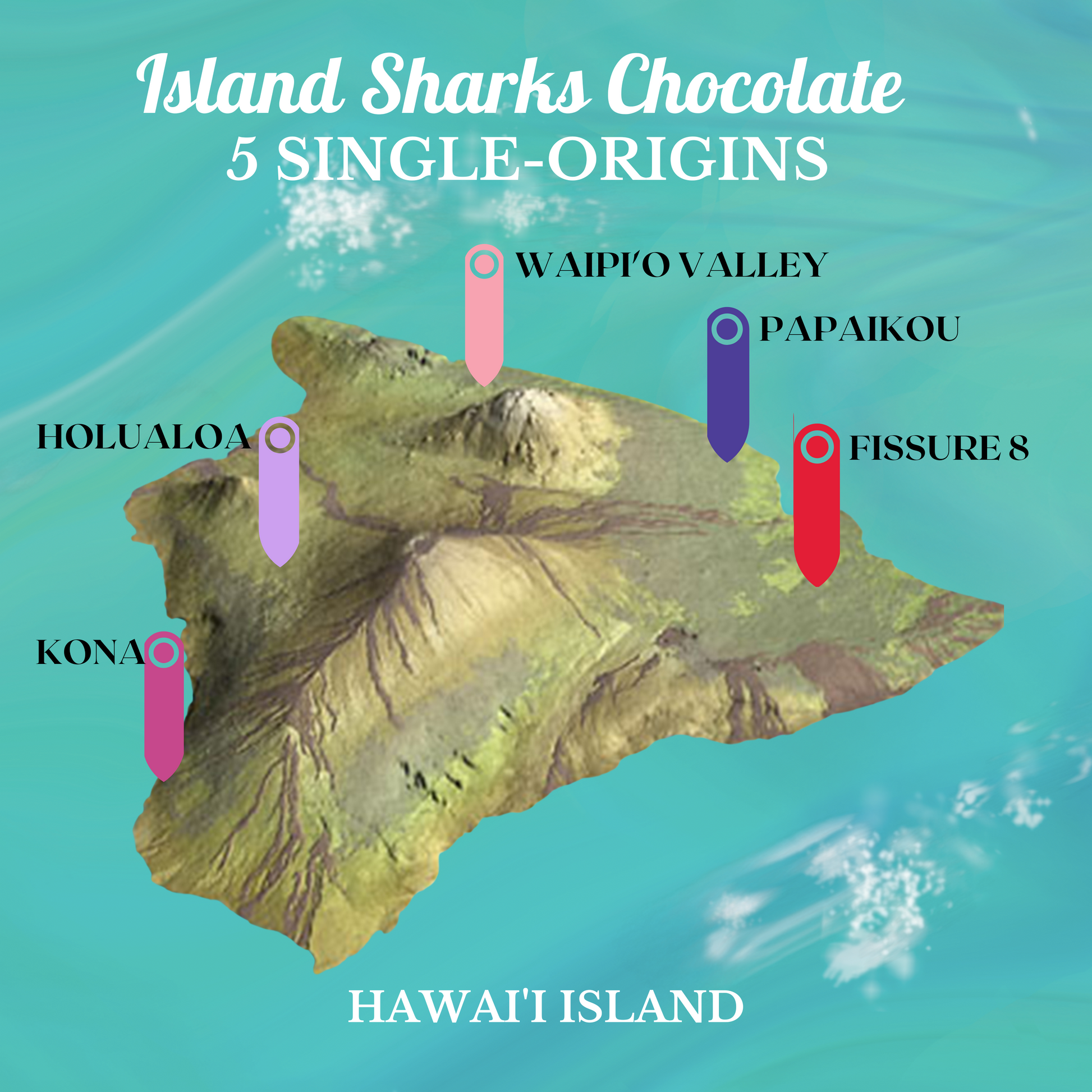 71% Hawai'i Cacao w/ EXTRA Alaea (Hawaiian Sea Salt)-6