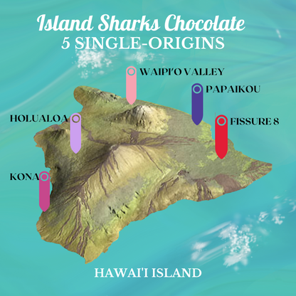 71% Hawai'i Cacao w/ EXTRA Alaea (Hawaiian Sea Salt)-6