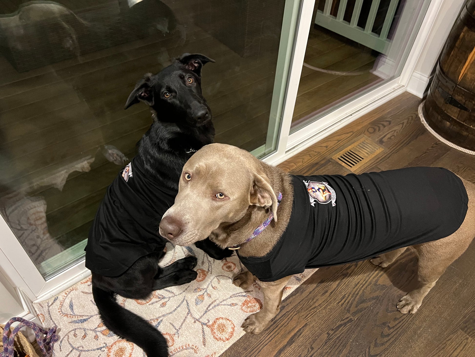 Corspice Dog T shirt-0