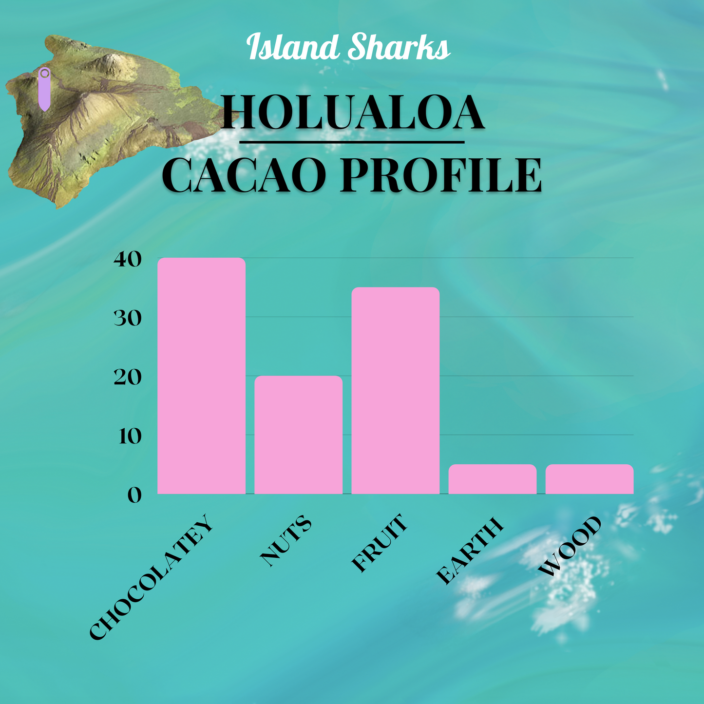 71% Hawai'i Cacao w/ EXTRA Alaea (Hawaiian Sea Salt)-11