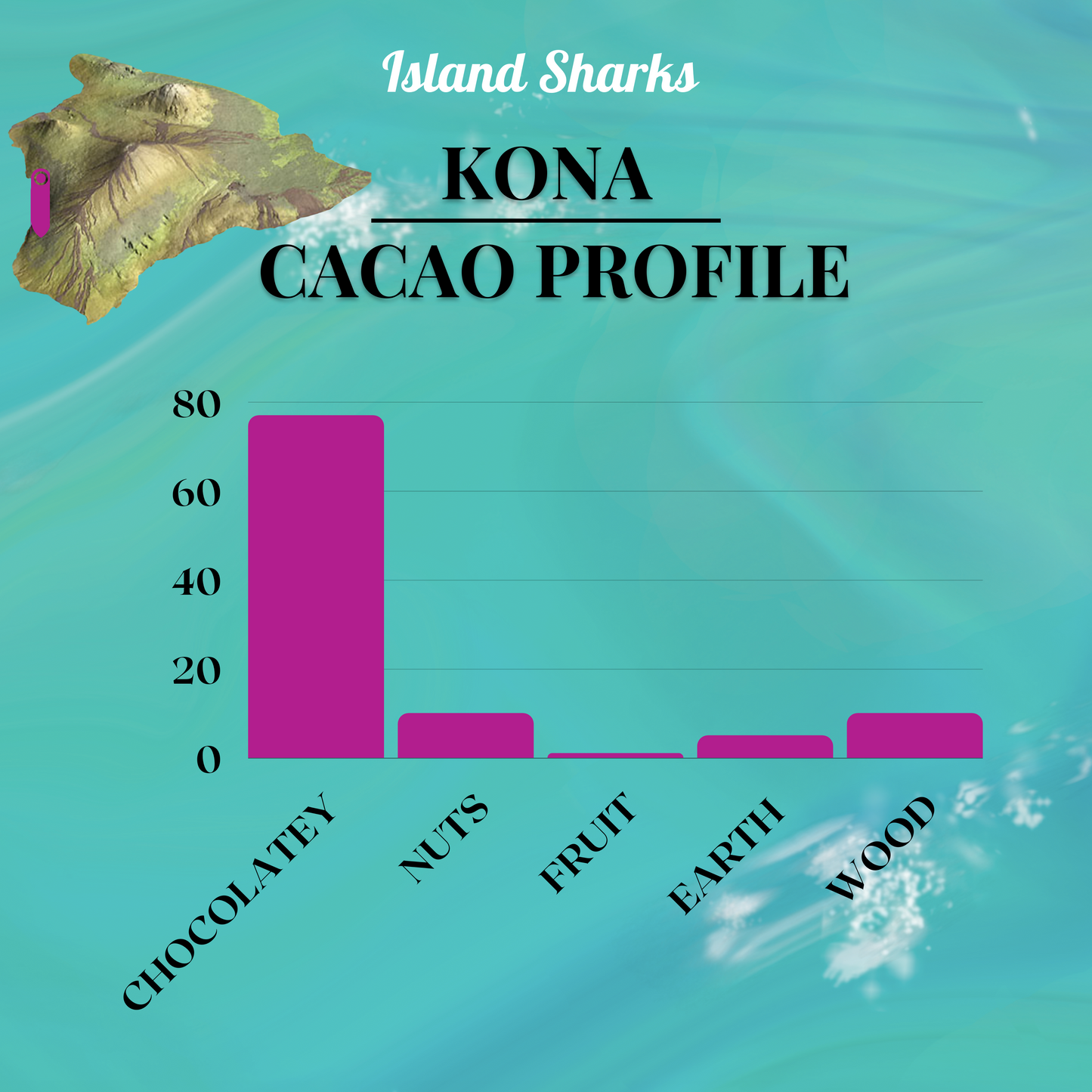 71% Hawai'i Cacao w/ EXTRA Alaea (Hawaiian Sea Salt)-8