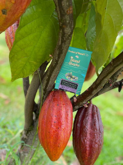 45% Oatmilk Chocolate w/ Waipi'o Vanilla-5