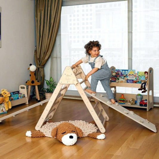 Foldable Climbing Triangle with 2 Ramps | Pikler Triangle for Kids-0