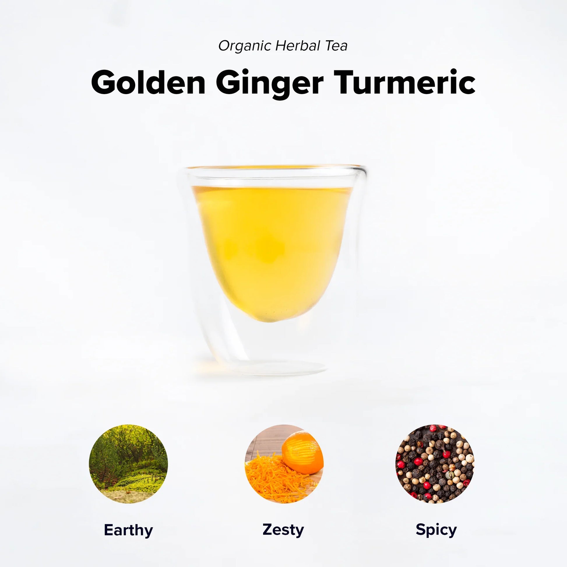 Golden Turmeric Ginger | Retail Package-1