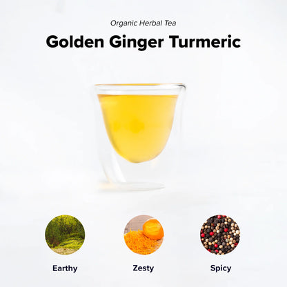 Golden Turmeric Ginger | Retail Package-1