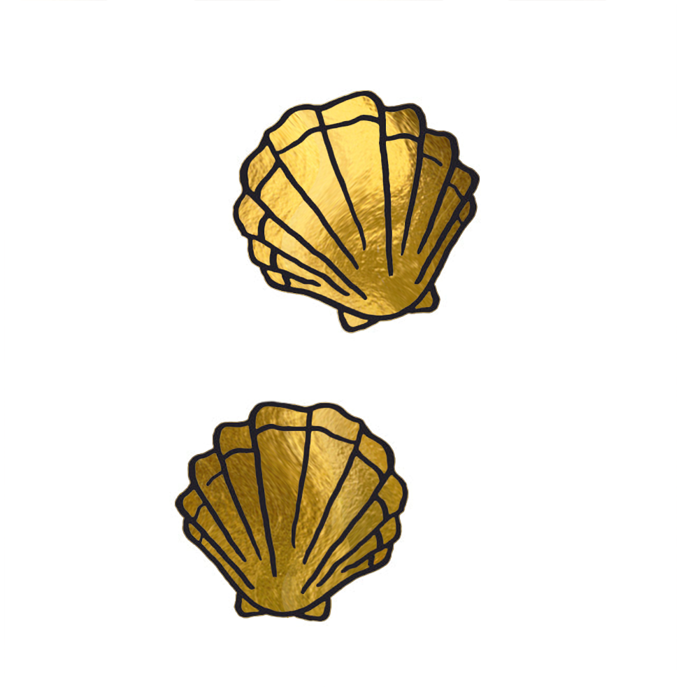 GOLD SHELLS (Pack de 2)-1