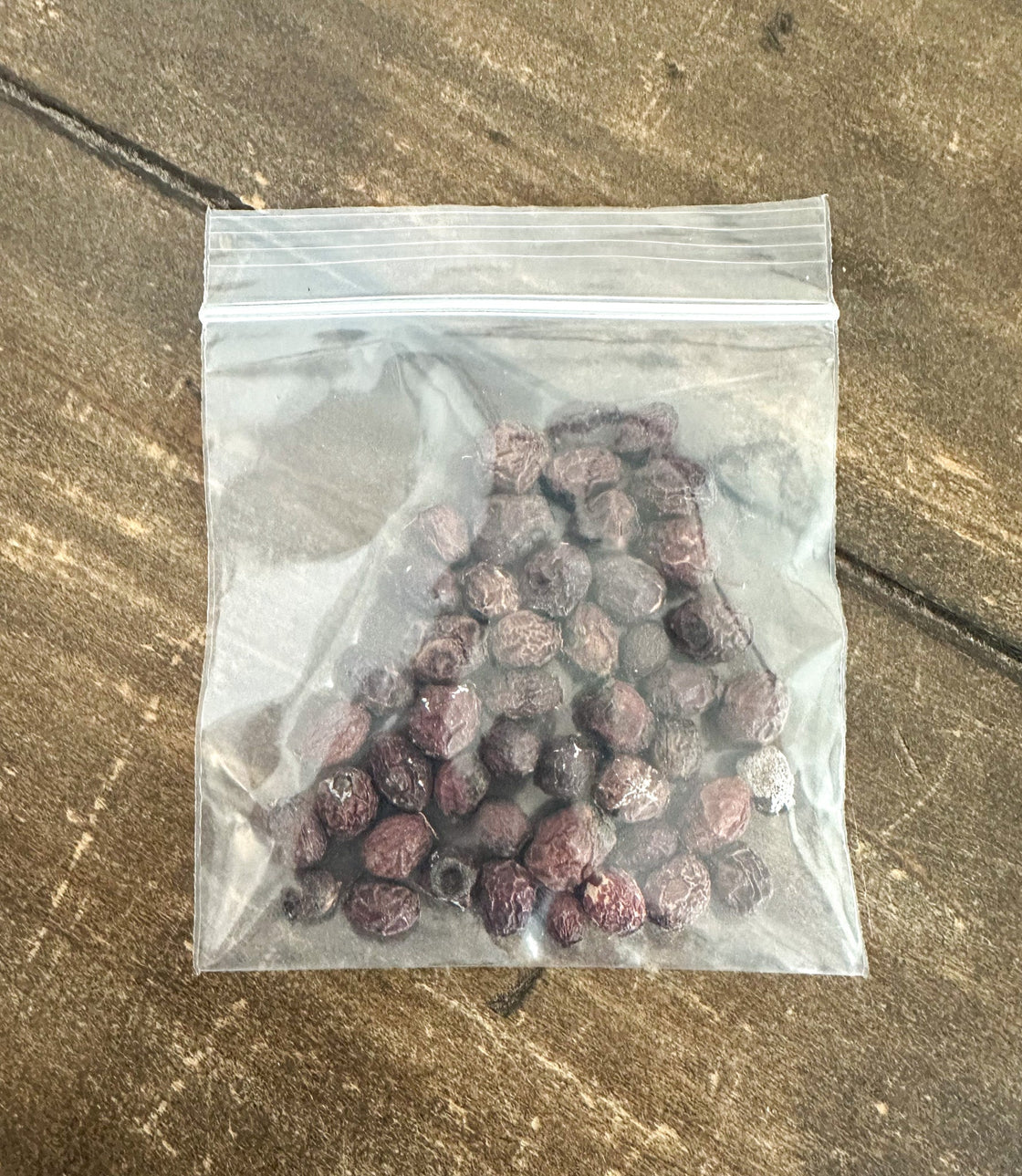 Hawthorn Berries-4