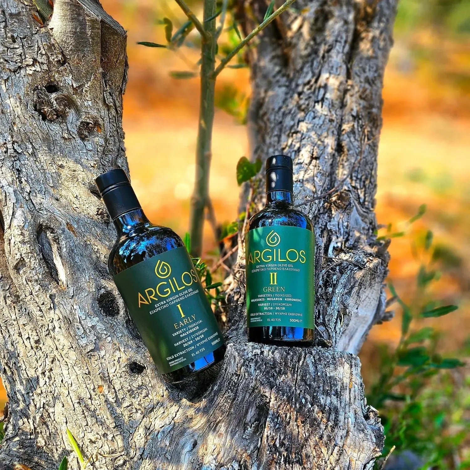 ARGILOS Early Harvest Greek Extra Virgin Olive Oil Bundle-4