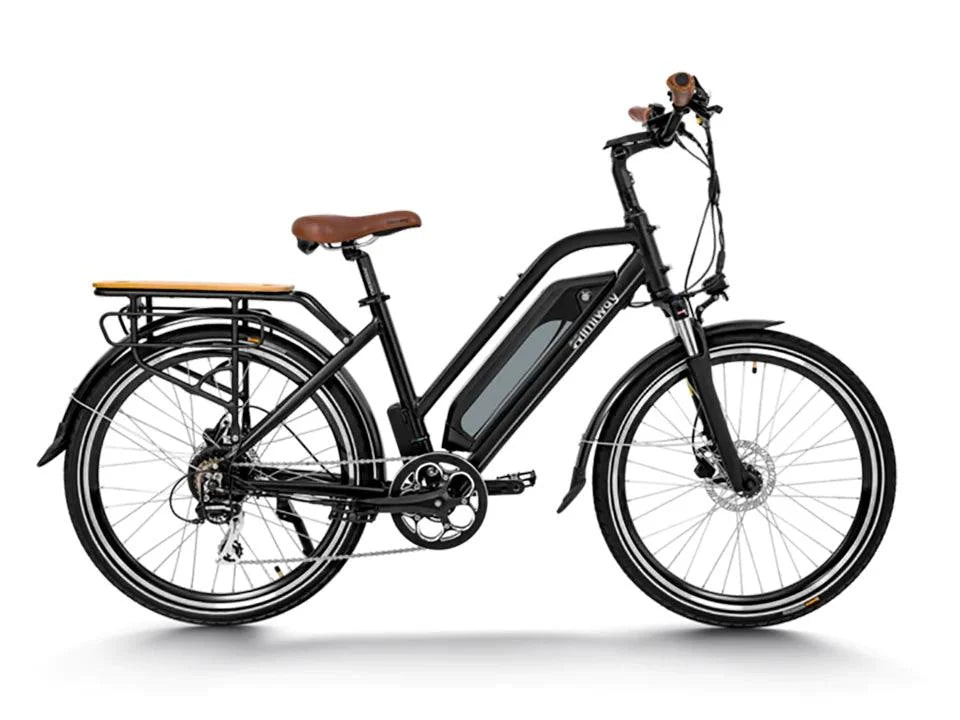 Himiway City Pedelec Akku-1