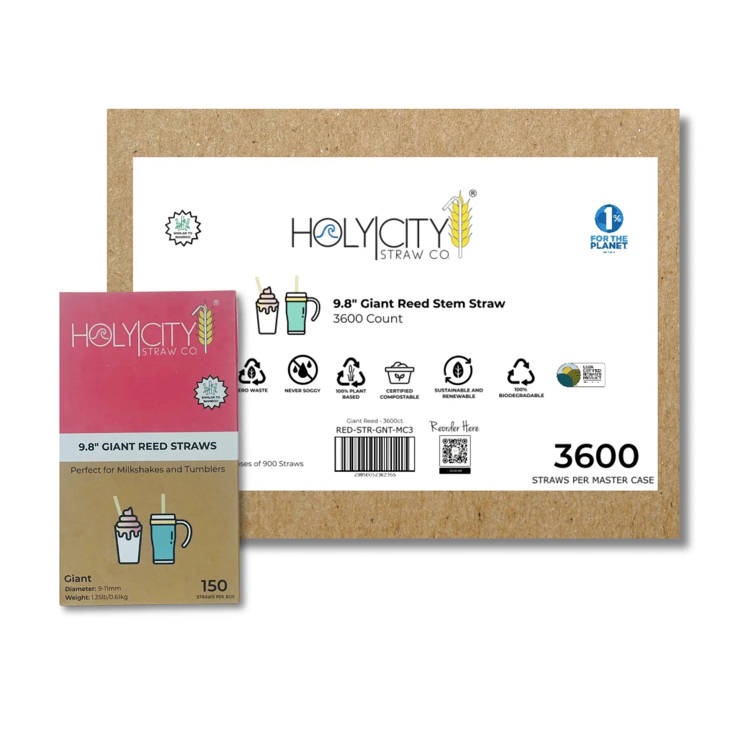 9.8" Giant Reed Straws-6