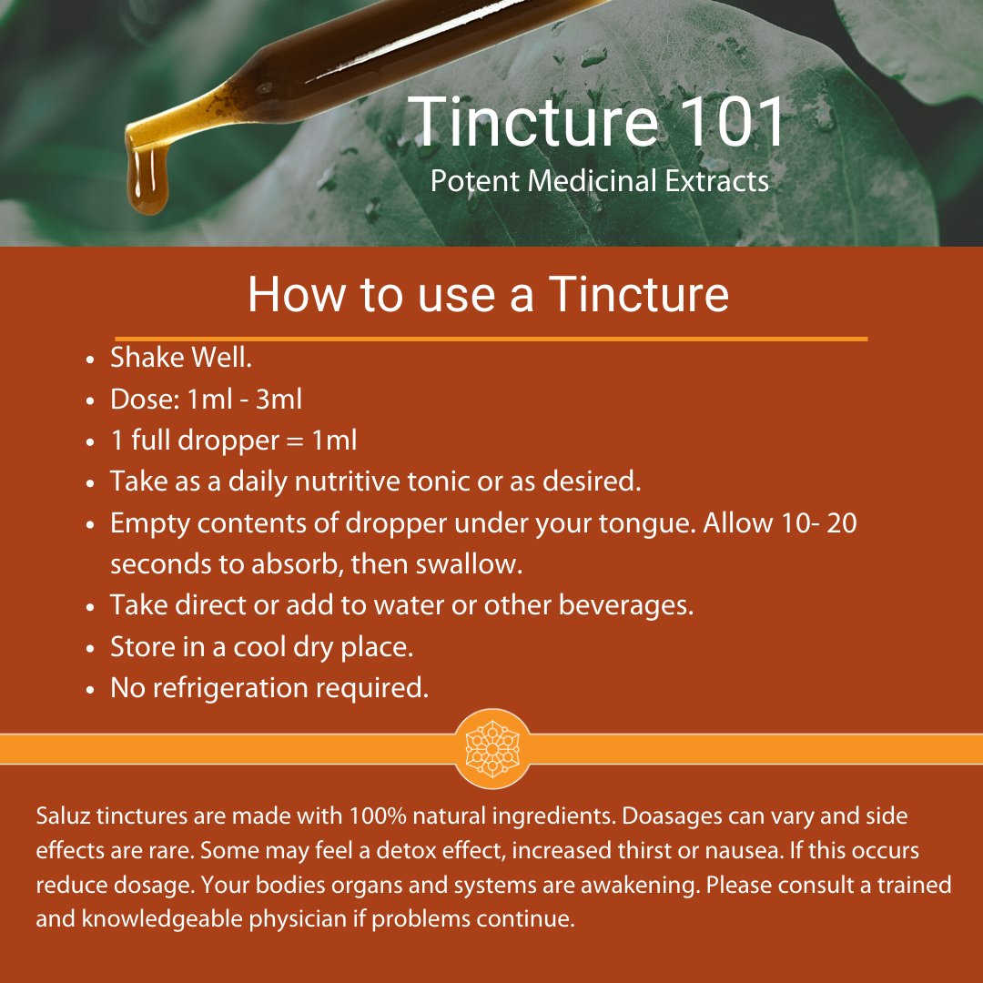 Cordyceps (Energy) Mushroom Tincture 2 oz.-3