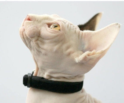 Soft Black Velvet Cat Collar-0