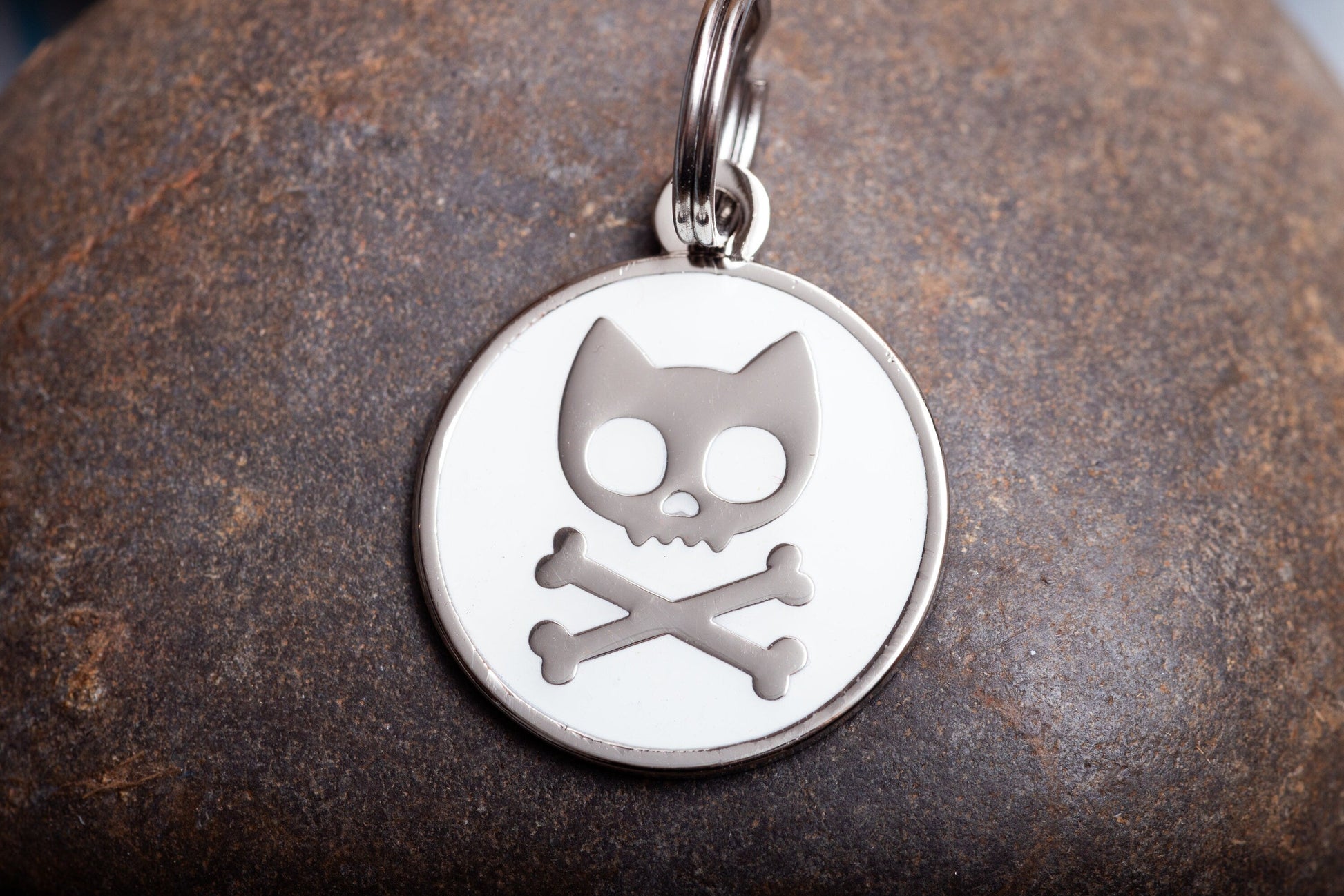 Engraved Glow-in-the-dark Skull and crossbones cat ID Tag-1