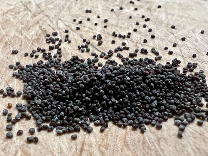 Blue Poppy Spain Seeds - Papaver Somniferum - Multicolor - Ornamental Garden Bloom-0