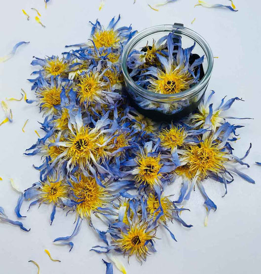 Egyptian Blue Lotus Flowers – Dried Nymphaea Caerulea for Tea, Relaxation & Wellness | Ceylon organic-0
